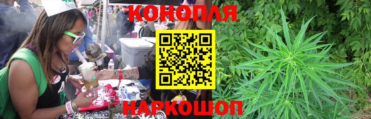 Конопля планчик Славянск-на-Кубани